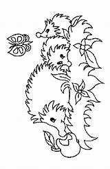 Egels Kleurplaten Colorat Animale Egel Hedgehogs P31 Arici Igeln Planse Malvorlage Primiiani Ausmalbild Tinamics Sitemap Desene Stimmen sketch template