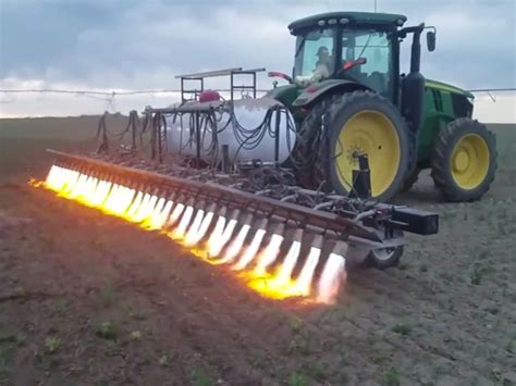 flamethrowing tractor  rid  weeds     chemicals sp robotic works