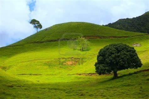 le colline