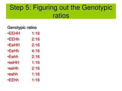 Ppt Genotypic And Phenotypic Ratios Powerpoint Presentation Free