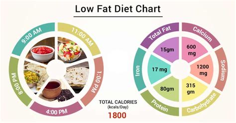 diet chart   fat patient  fat diet chart lybrate