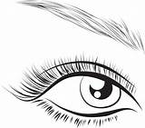 Eyelashes Pngall sketch template