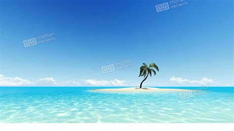 tropical island   palm tree  clear sky stock video footage