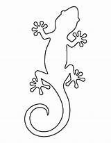 Gecko Coloring Outline Pages sketch template