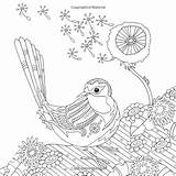 Coloring Pages Mindful Birds Bird Anastasia Color Sheets Stress Illustration Colouring Print Amazon Choose Board Owl sketch template