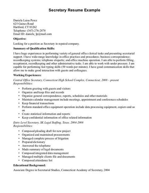 basic computer skills  resume  resume template