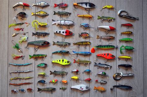 organize  fishing gear  fishidy blog