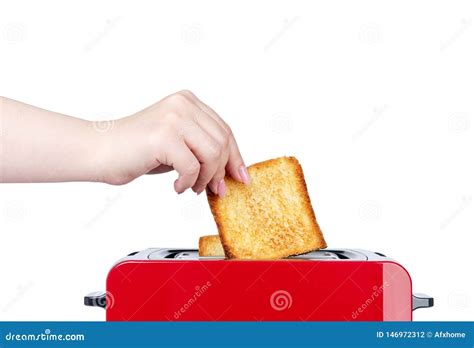 rode broodrooster met geroosterd brood het handenmeisje trekt klaar toosts terug gesoleerdj op