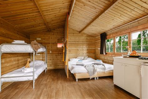 bungalow log cabin vakantiepark beekse bergen roompot