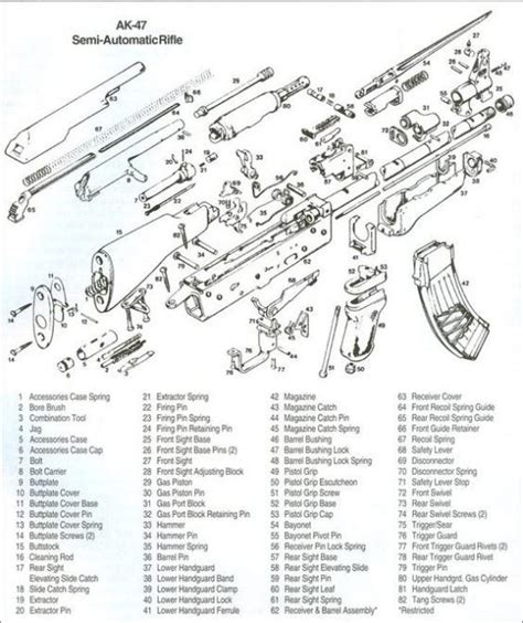 gross anatomy ak cutaway  firearm blog