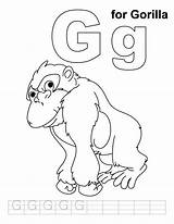 Gorilla Coloring Pages Kids Letter Phonics Zoo Handwriting Gordo Practice Preschool Sheet Craft Animal Color Animals Print Colouring Sheets Alphabet sketch template
