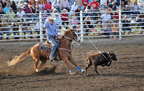 roping  rodeo event