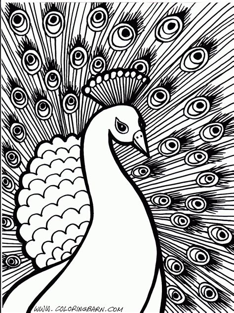 printable adult coloring pages owls  printable coloring pages