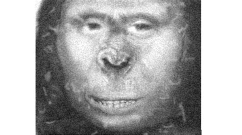 dna evidence suggests captured russian ape woman might have been subspecies of modern human