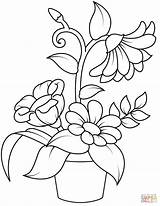 Coloring Pot Flower Pages Printable Flowers Flowerpot Drawing Elegant Easy Birijus Adults Fresh sketch template