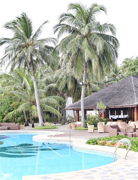 palm beach resort  spa  healthy holiday company