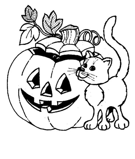 halloween pumpkin cat coloring pages  purple kitty