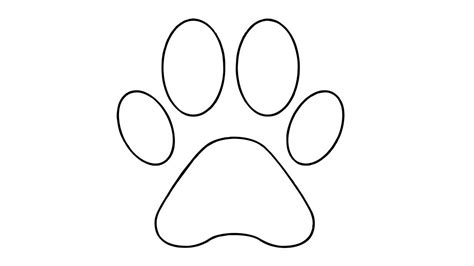 draw  cartoon dog paw print brooks leon