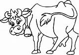 Kuh Vache Ausmalbild Ausmalen Cows Coloring4free Coloriages 1185 Kleurplaat Kuhkopf Lelaki Colorat Kleurplaten Perhatian Coloringpages7 Desene Vacute Pertaining sketch template
