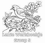 Groep Lente Werkboekje Kleurplaten Werkboekjes Kleurplaat Werkboek Minipret Vogels Printen Downloaden Uitprinten sketch template