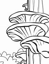 Coloring Mushroom Pages Cartoon Printable Mushrooms Color Getcolorings Tree Adult Print sketch template