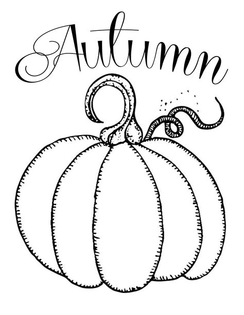 simple pumpkin drawing  getdrawings