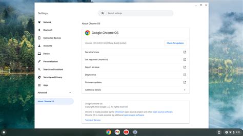 chromebook    change  chrome os channels   unreleased features  verge