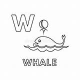 Whale Animals 30seconds Abcs Mom sketch template