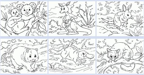 australian animal coloring book coloring pages