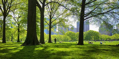 Voting For Parks Huffpost