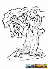 Climb Tree Coloring Girl sketch template