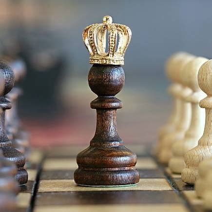 koninklijke schaakclub pion aalst facebook