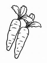 Carrot Coloring Pages Vegetables Radish Printable Nose Kids Color Bunny Getdrawings Template Getcolorings sketch template