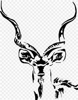 Kudu Antelope Greater Dog Clipart Baboon Hunting Vorlagen sketch template
