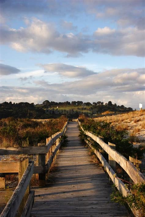 wooden walkway   beach royalty  stock photo image