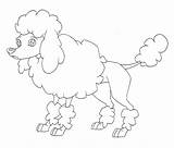 Poodle Coloring Pages Toy Printable French Labradoodle Getcolorings Standard Getdrawings Sketch Sheet Colorings Template sketch template