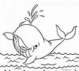 Coloring Print Whale Pages sketch template