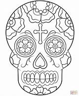 Coloring Pages Skull Choose Board sketch template