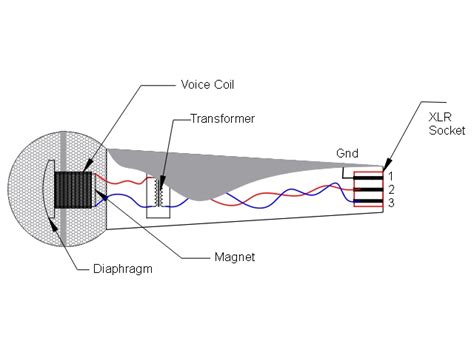 microphone diagram mic wiring
