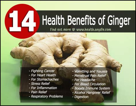 14 reasons why you need ginger