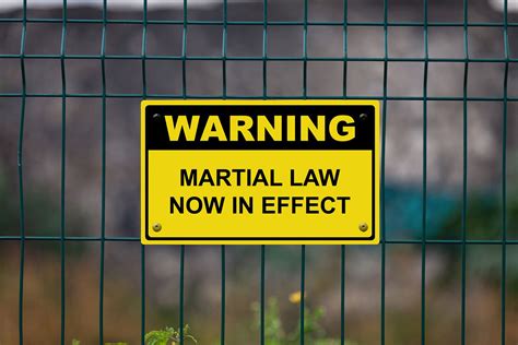 martial law definition