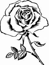Rose Drawing Flower Clipart Coloring Flowers Pages Library Clip Kids sketch template