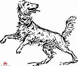 Dog Jumping Drawing Getdrawings sketch template