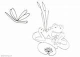 Coloring Pond Cattails Frog Pages Dragonfly Printable Kids sketch template