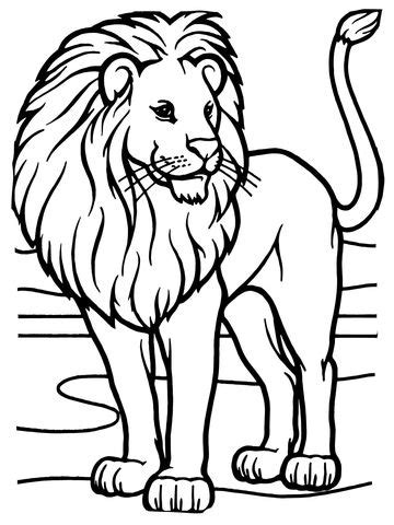 male african lion coloring page  printable coloring pages lion