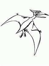 Pteranodon Coloring Flying Reptile Dinosaurs Drawing Library Clipart Sketch Getdrawings Clipartmag Popular Utilising Button Print Outline sketch template