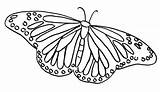 Mariposa Monarca Mariposas sketch template