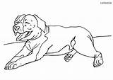 Staffordshire Hunde Bullterrier Colomio Tiere sketch template