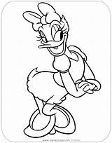 Daisy Disney Disneyclips Daisyduck Coloringpages Elsa Funstuff sketch template