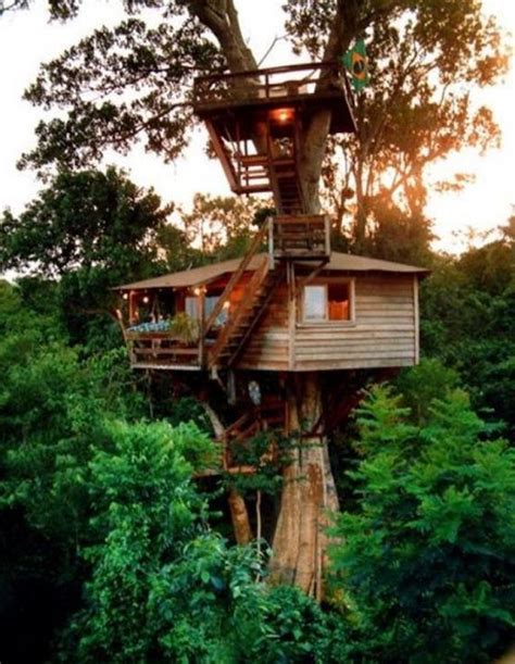 images  treehouse life  pinterest swiss family robinson house  tree houses